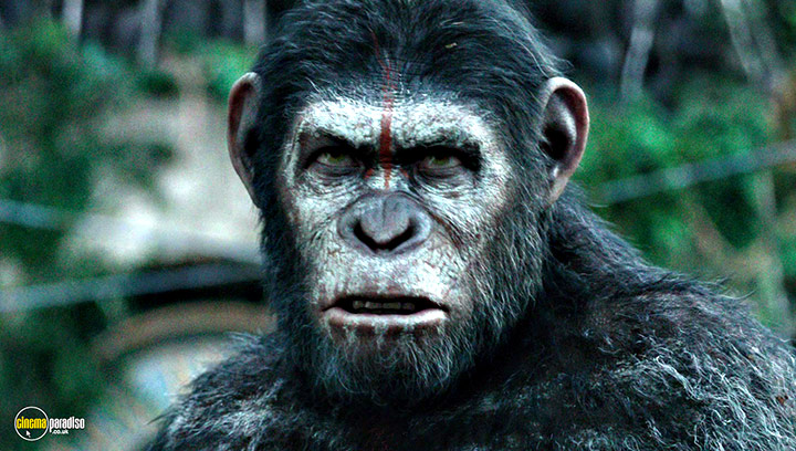 A still #3 from Dawn of the Planet of the Apes (2014)