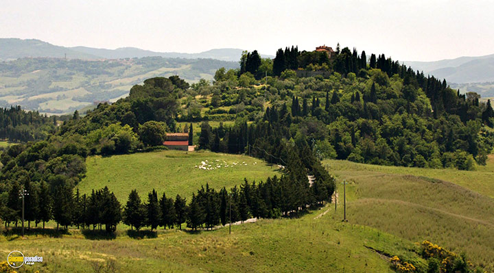 A still #31 from The Trip to Italy (2014)