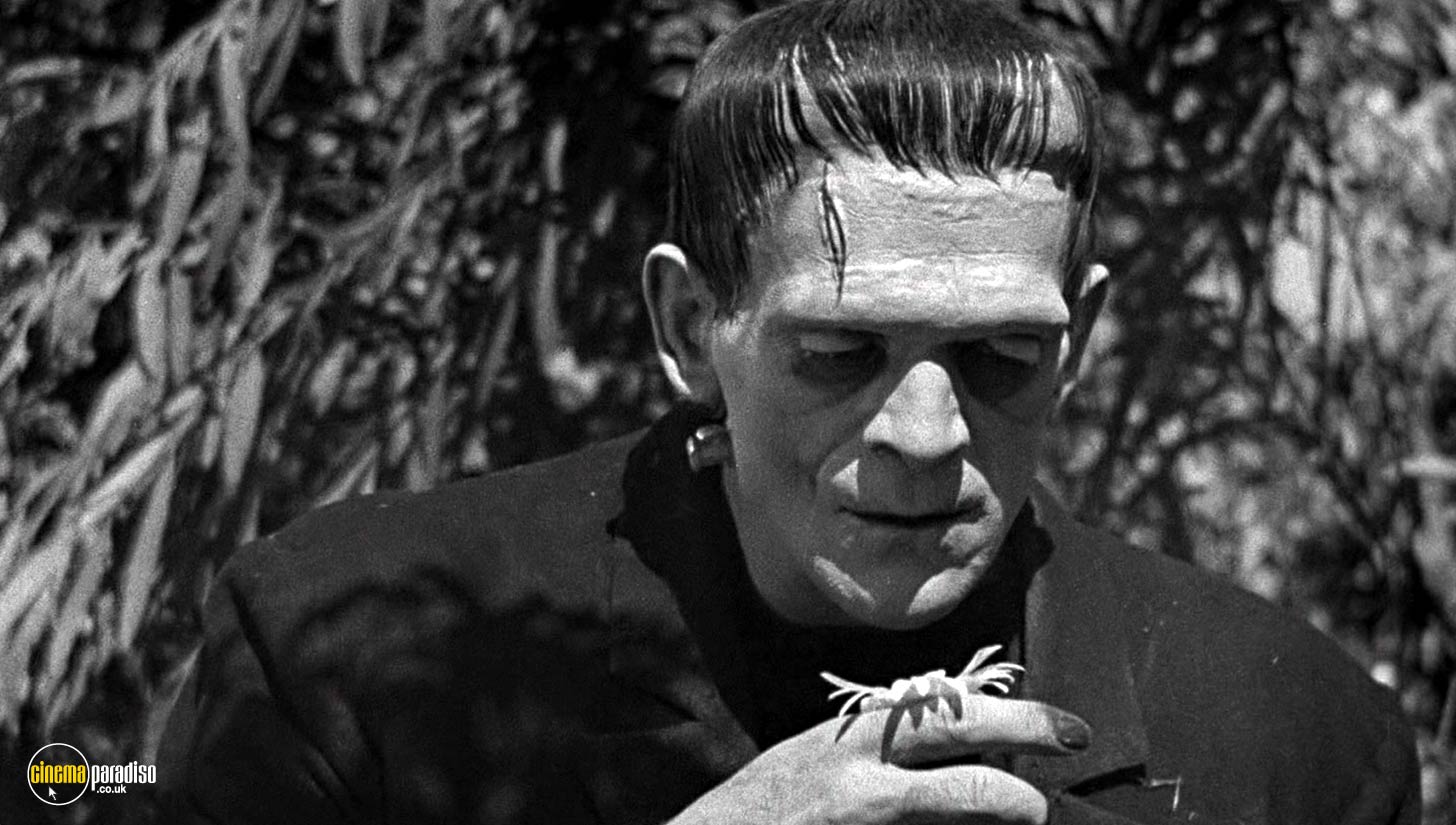 A still #26 from Frankenstein (1931)