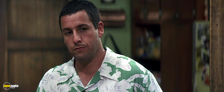 A still #16 from 50 First Dates (2004)