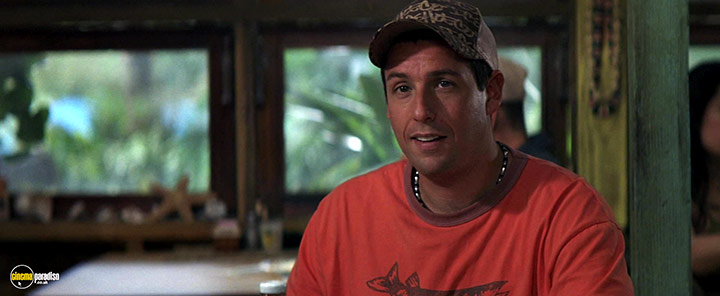 A still #10 from 50 First Dates (2004)