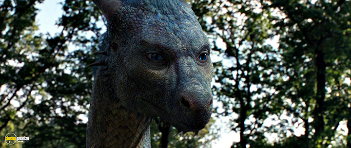 A still #1 from Eragon (2006)