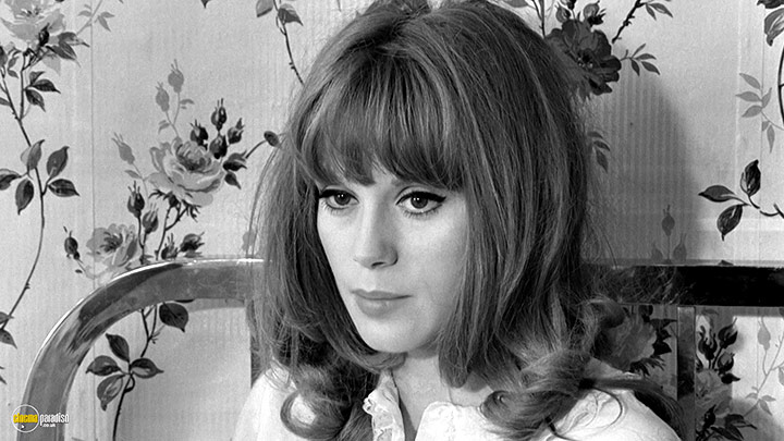A still #3 from The Soft Skin (1964)
