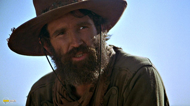 A still #3 from The Culpepper Cattle Co. (1972)