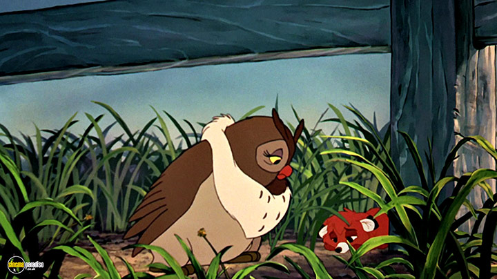 A still #34 from The Fox and the Hound (1981)