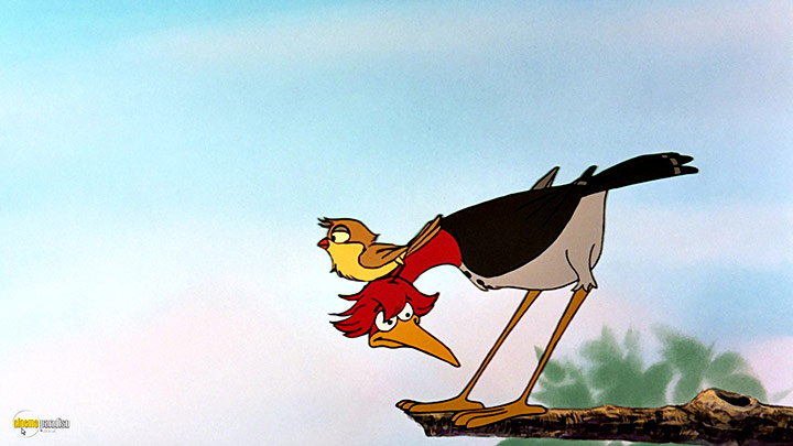 A still #24 from The Fox and the Hound (1981)