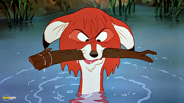 A still #6 from The Fox and the Hound (1981)