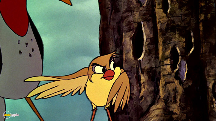 A still #3 from The Fox and the Hound (1981)