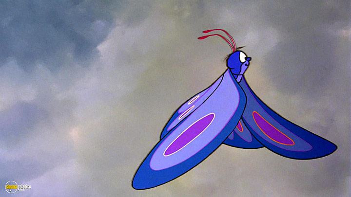 A still #2 from The Fox and the Hound (1981)
