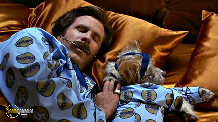 A still #38 from Anchorman Special Edition and Wake Up Ron Burgundy Set (2004)