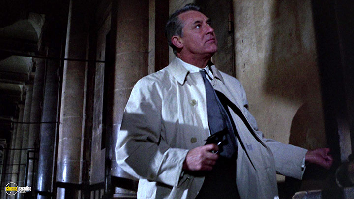 A still #85 from Charade (1963)
