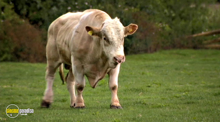 A still #5 from The Green Green Grass: Series 4 (2009)