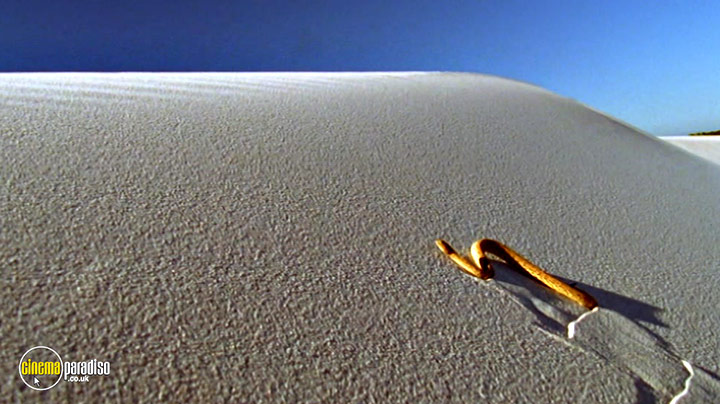 A still #3 from Life in Cold Blood: Series (2008)