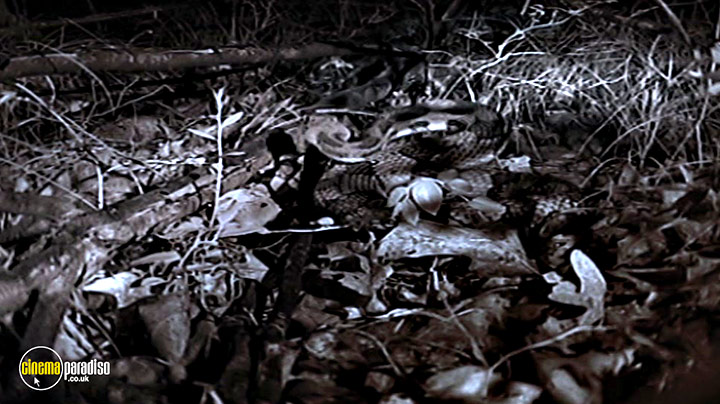 A still #6 from Life in Cold Blood: Series (2008)