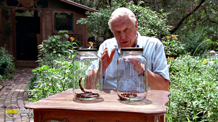 A still #11 from Life in Cold Blood: Series (2008)