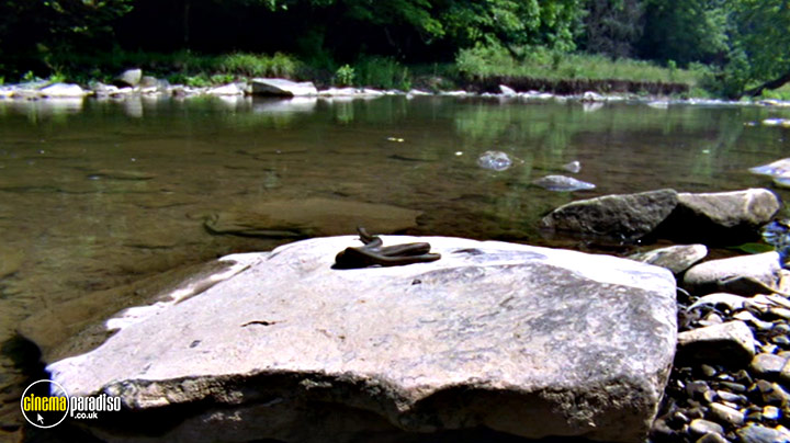 A still #15 from Life in Cold Blood: Series (2008)