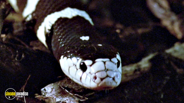 A still #17 from Life in Cold Blood: Series (2008)