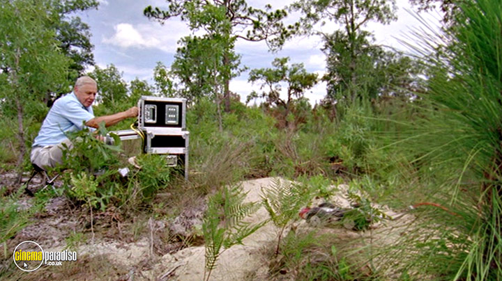 A still #26 from Life in Cold Blood: Series (2008)