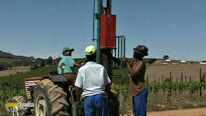 A still #2 from Wine World (1999)