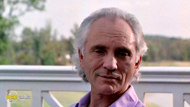 A still from The Real McCoy (1993) 