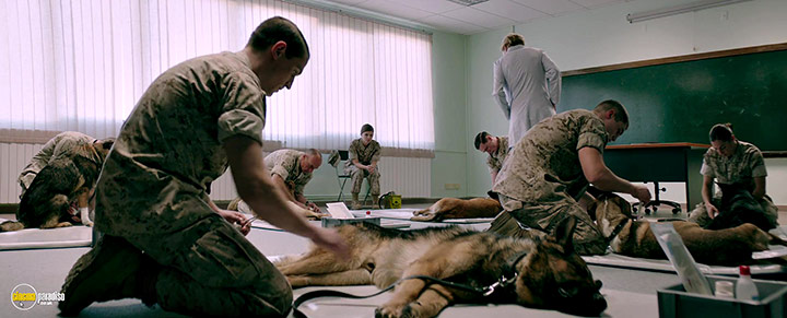 A still #25 from Rex (2017)
