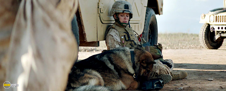A still #22 from Rex (2017)