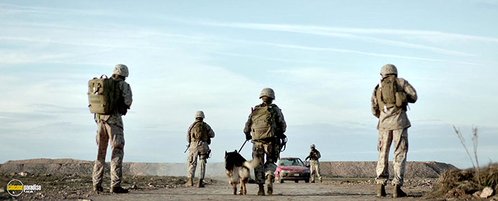 A still #17 from Rex (2017)