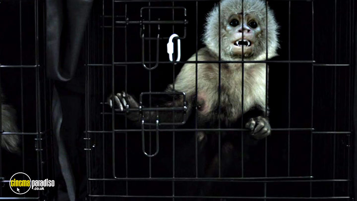 A still #4 from Zoombies (2016)