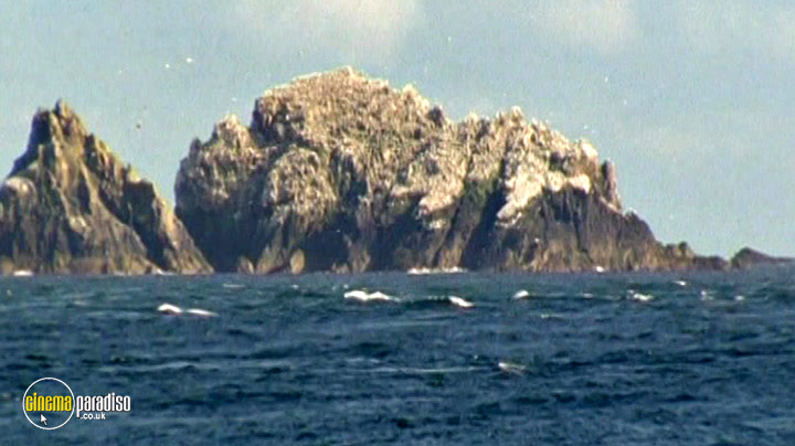 A still #4 from British Birds and Birdlife (2006)
