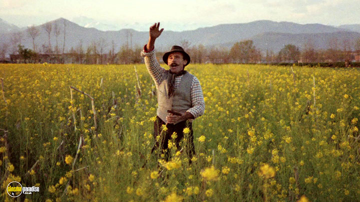A still #1 from The Tree of Wooden Clogs (1978)