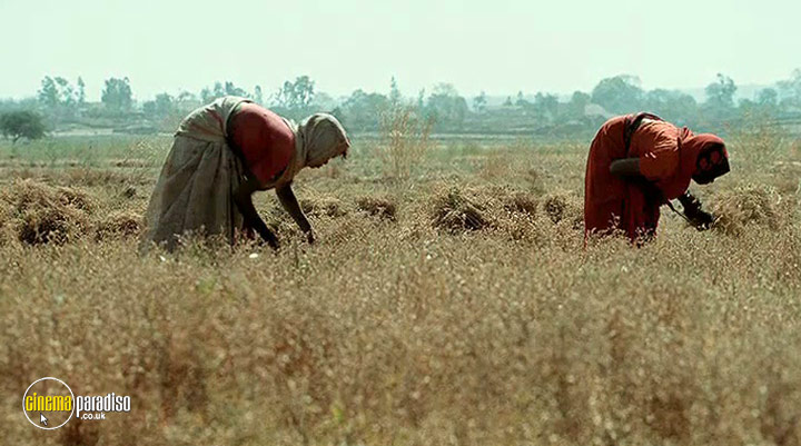 A still #4 from Peepli Live (2010)