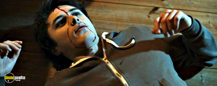 A still #16 from Cabin 28 (2017)