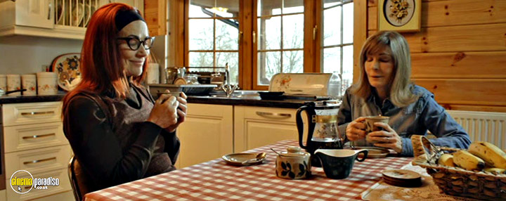 A still #2 from Cabin 28 (2017)