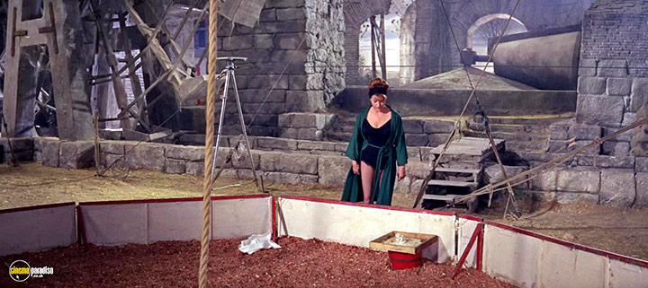 A still #25 from Magnificent Showman (1964)