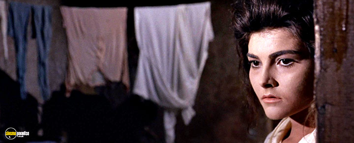 A still #16 from Django Kill: If You Live, Shoot! (1967)