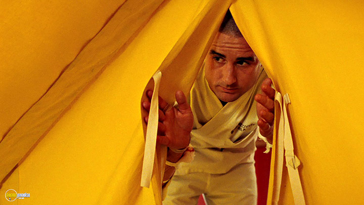 A still #24 from The Royal Tenenbaums (2001)
