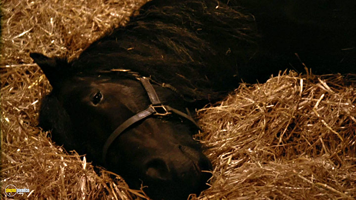 A still #30 from Black Beauty (1994)