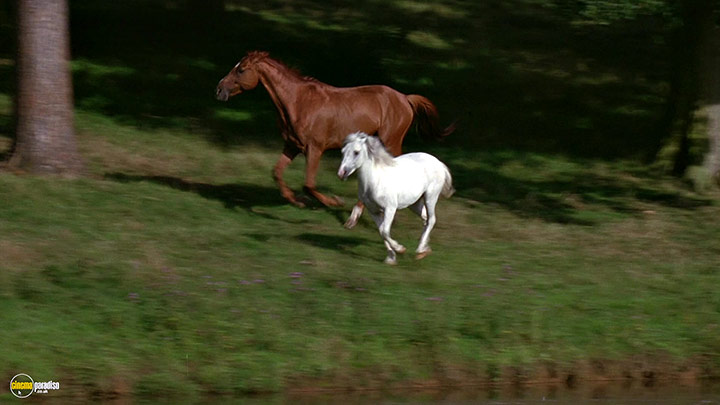 A still #27 from Black Beauty (1994)