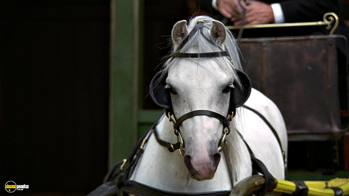 A still #26 from Black Beauty (1994)
