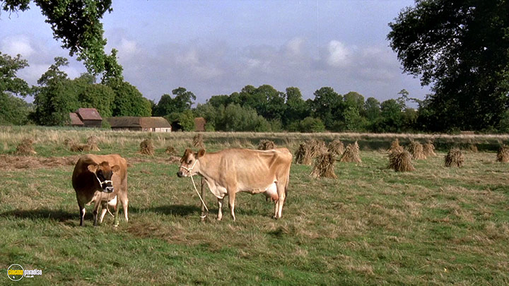 A still #16 from Black Beauty (1994)