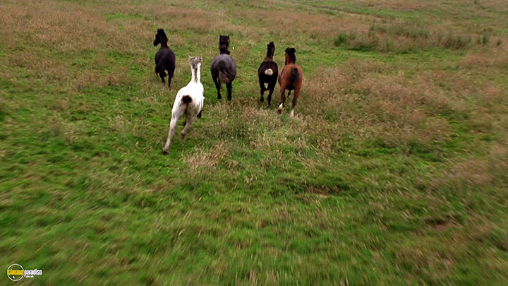 A still #10 from Black Beauty (1994)