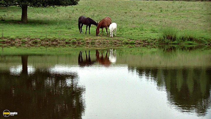 A still #7 from Black Beauty (1994)