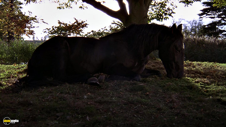 A still #4 from Black Beauty (1994)
