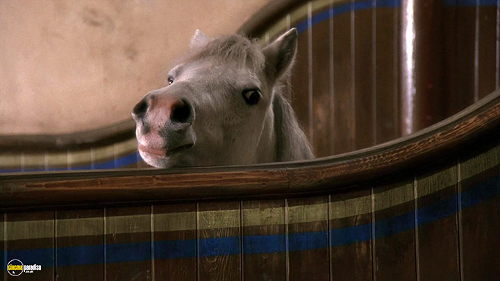 A still #2 from Black Beauty (1994)