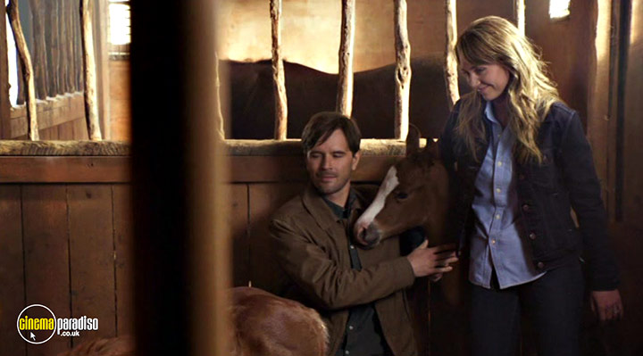 A still #22 from Heartland: Series 10 (2016)