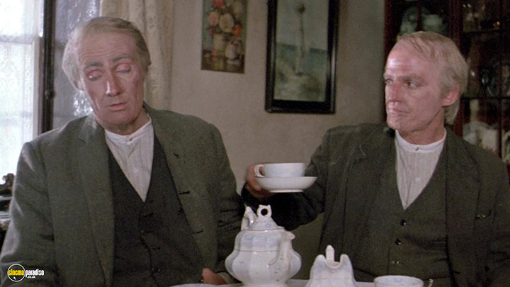 A still #19 from On the Black Hill (1988)