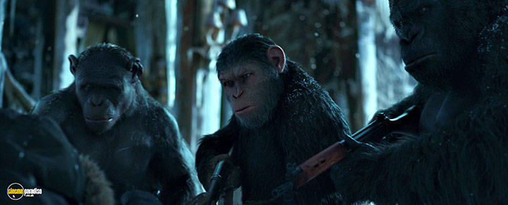 A still #38 from War for the Planet of the Apes (2017)