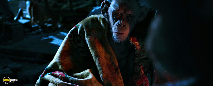 A still #37 from War for the Planet of the Apes (2017)