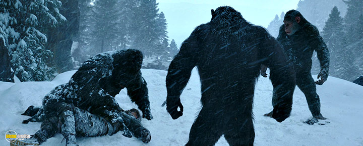 A still #36 from War for the Planet of the Apes (2017)