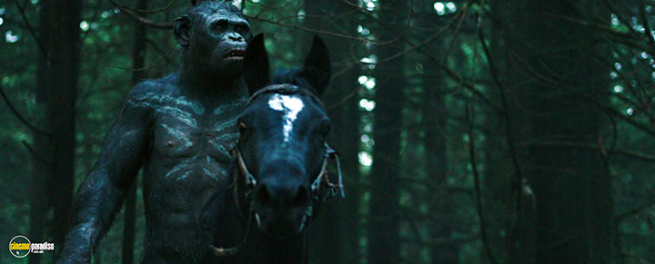 A still #34 from War for the Planet of the Apes (2017)